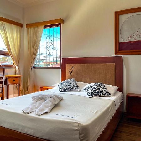 Luz De Luna Hotel Barrio Escalante San José Zewnętrze zdjęcie