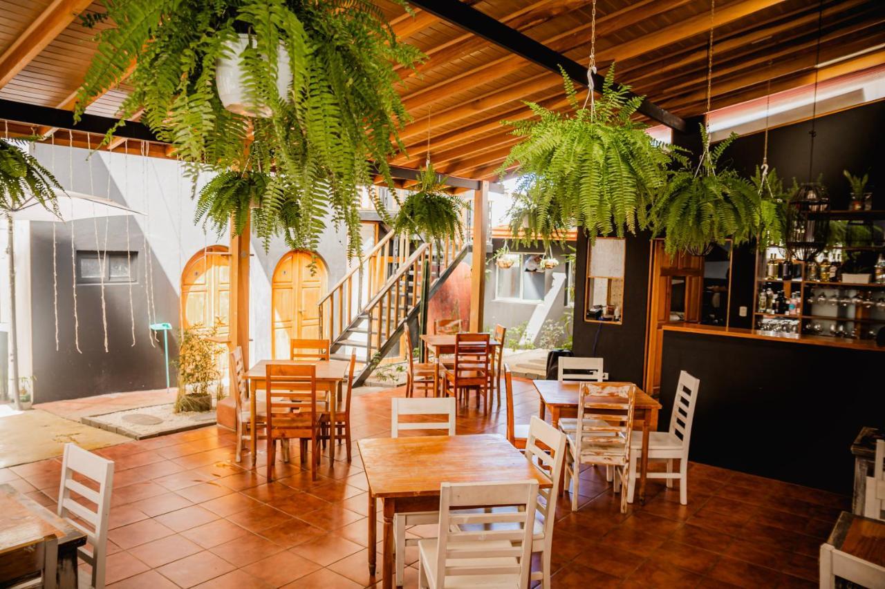 Luz De Luna Hotel Barrio Escalante San José Zewnętrze zdjęcie