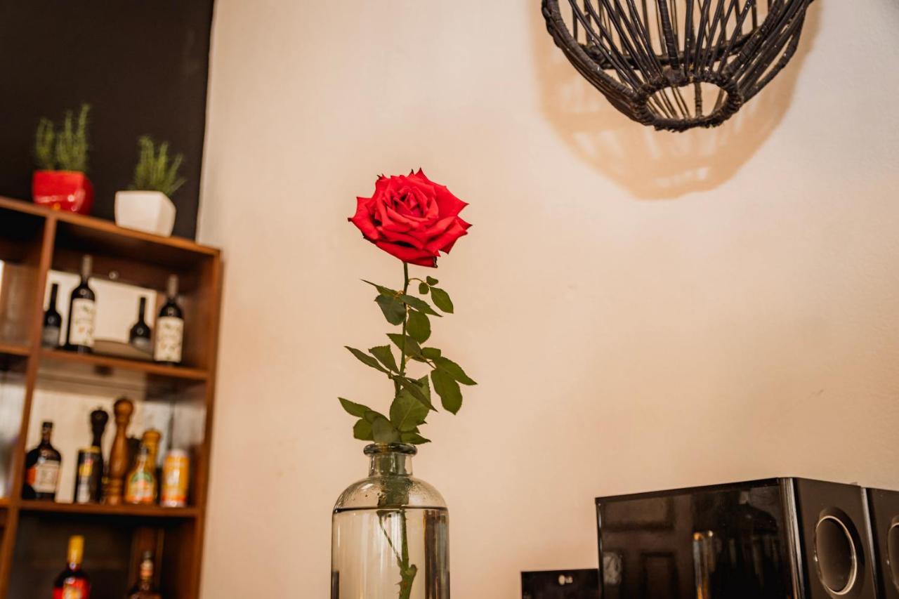 Luz De Luna Hotel Barrio Escalante San José Zewnętrze zdjęcie