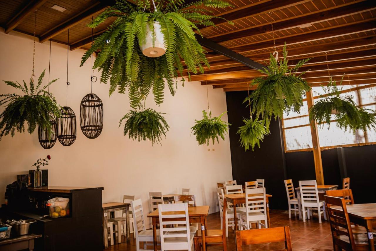 Luz De Luna Hotel Barrio Escalante San José Zewnętrze zdjęcie