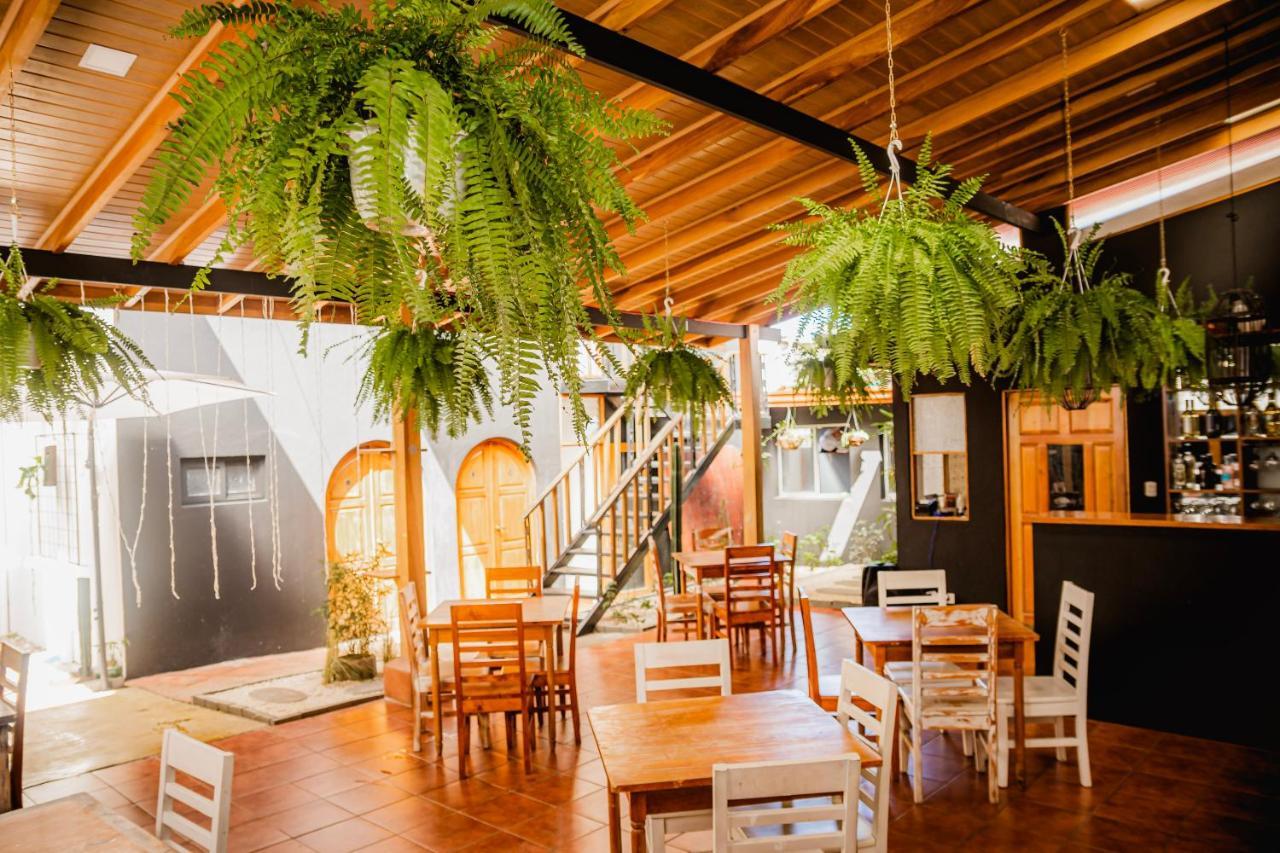 Luz De Luna Hotel Barrio Escalante San José Zewnętrze zdjęcie